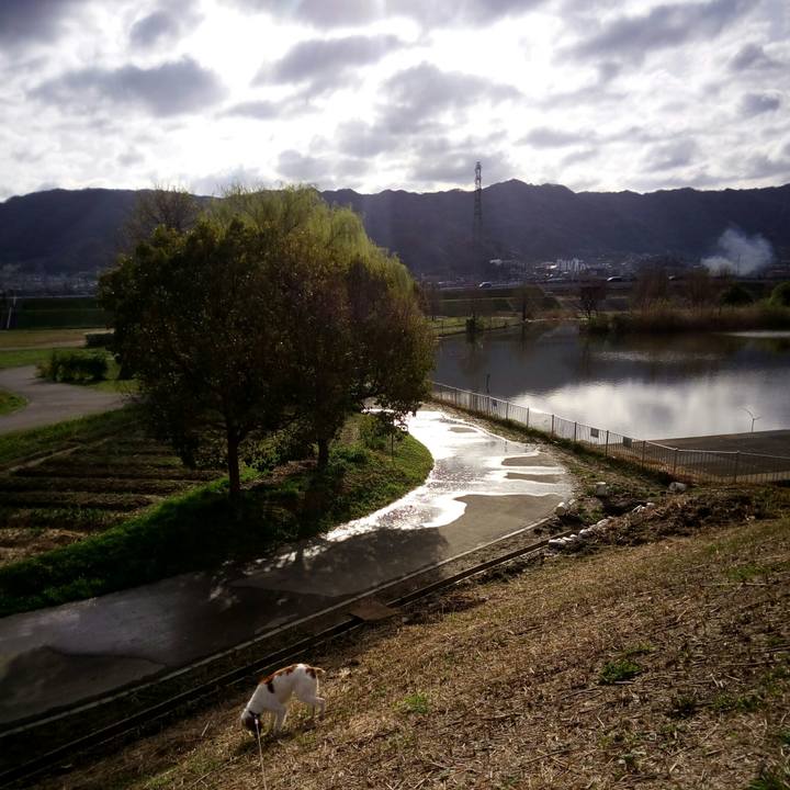 9b9715b9 e810 4281 a896 85483f44fddb 1521768756342