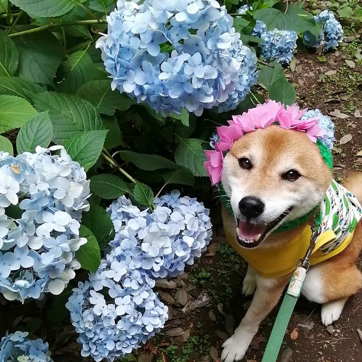 9b971a2a fd23 4abc 923b 1365996a0a1f 1656816259243