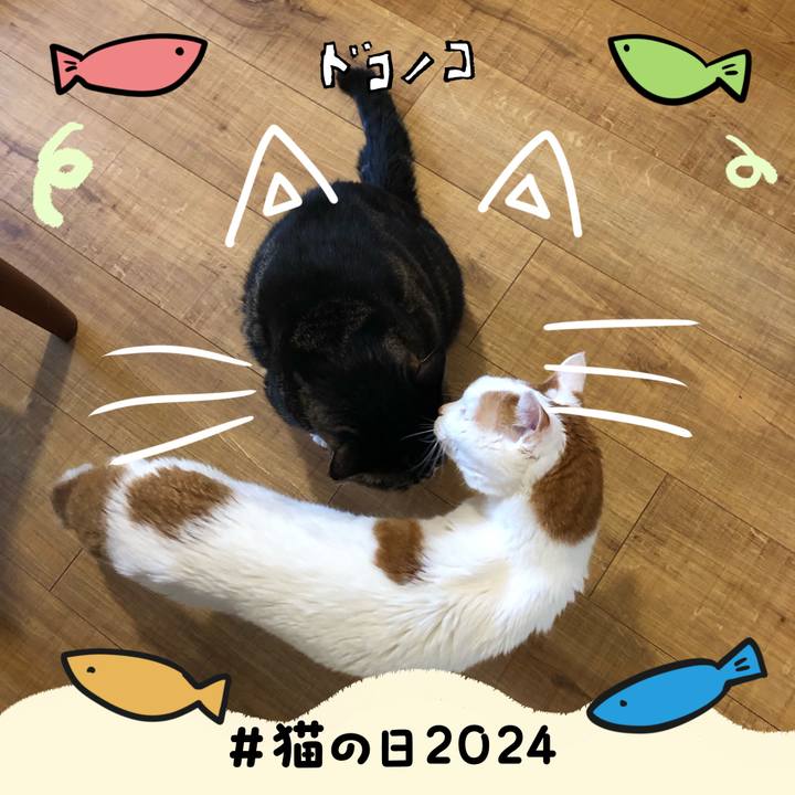 9b97659c 8b7a 4d4a 95fd b6d975ea35f6 1708558356481