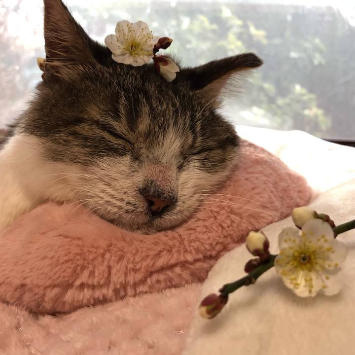 9b977360 cf50 4b53 8c4f 59f51244e5ad 1549234483504