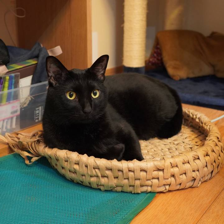 9b9775ae 1d74 4f03 a1ce 010cb2929d04 1588747369843