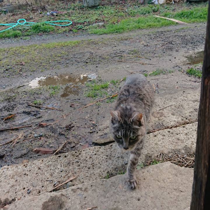 9b977792 e358 4fb5 8e81 3a5e6e15626f 1575786637897