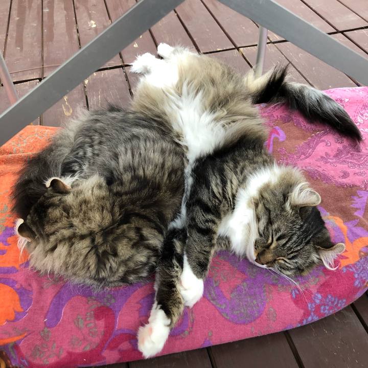 9b97a242 c887 4dd0 9b8e 8f3f83000f0b 1530083697512