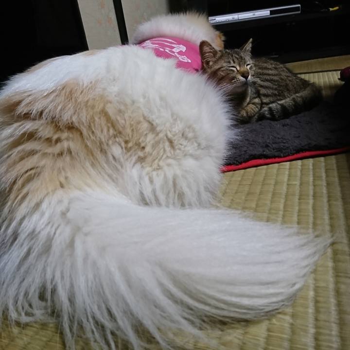 9b97a511 19bc 402d 974a d2e2dc42007e 1557491287971