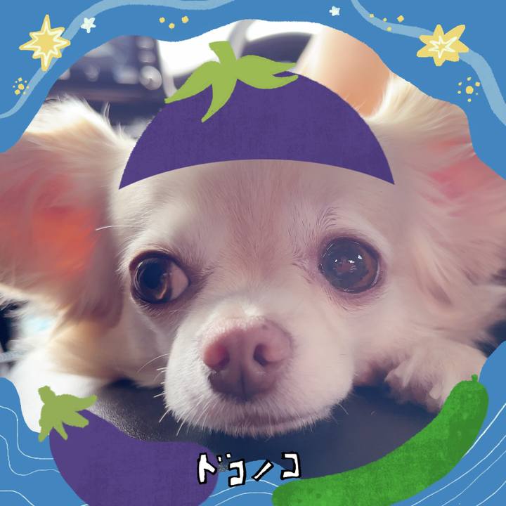 9b97a66e 8e47 494f b2ec 68d98a158efb 1755336810902