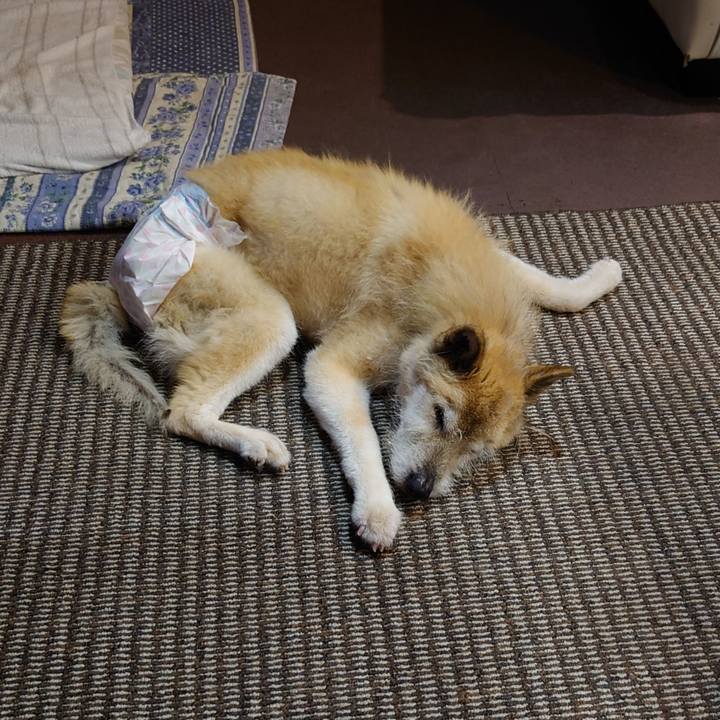 9b97e948 e53d 4cc7 a501 9ace959ce03b 1650102751680