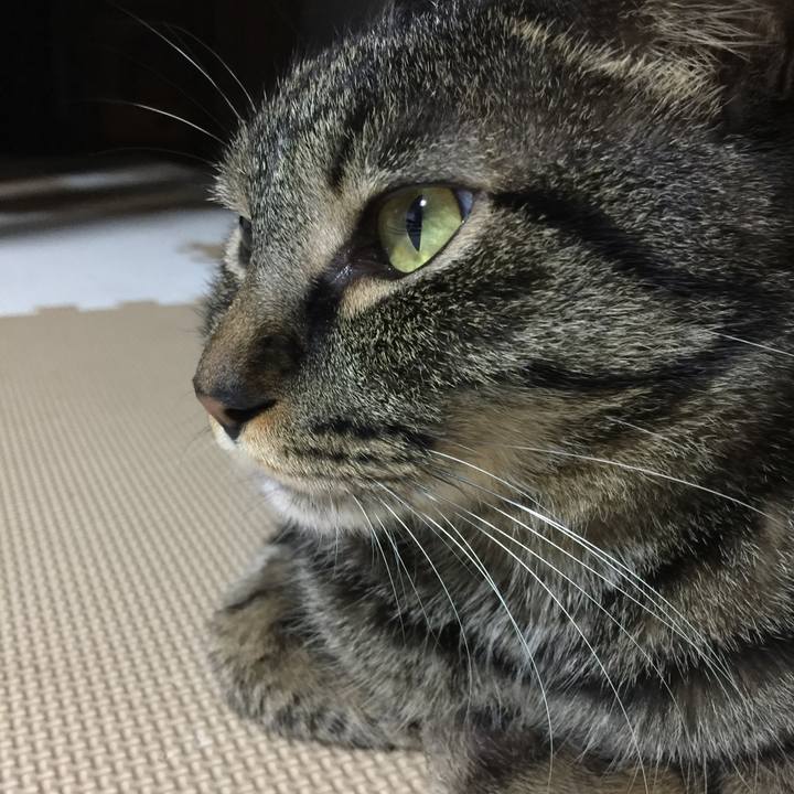 9b97e9b9 8142 4161 9dc6 8be120a26db2 1529841475744