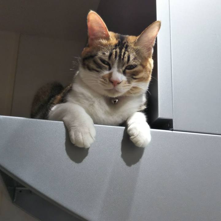 9b984e16 b51a 48f5 b707 1472da999700 1698795977815