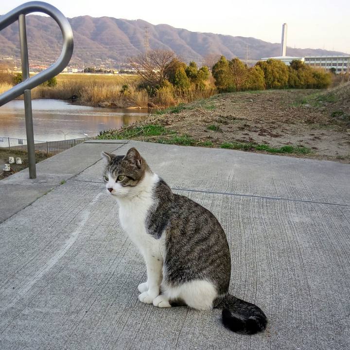 9b988f71 b134 4574 81cf fb6a73734d88 1520943342583