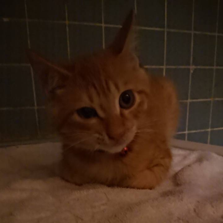 9b98a190 fe32 409b 8cc1 c72763a8eadd 1632821459161