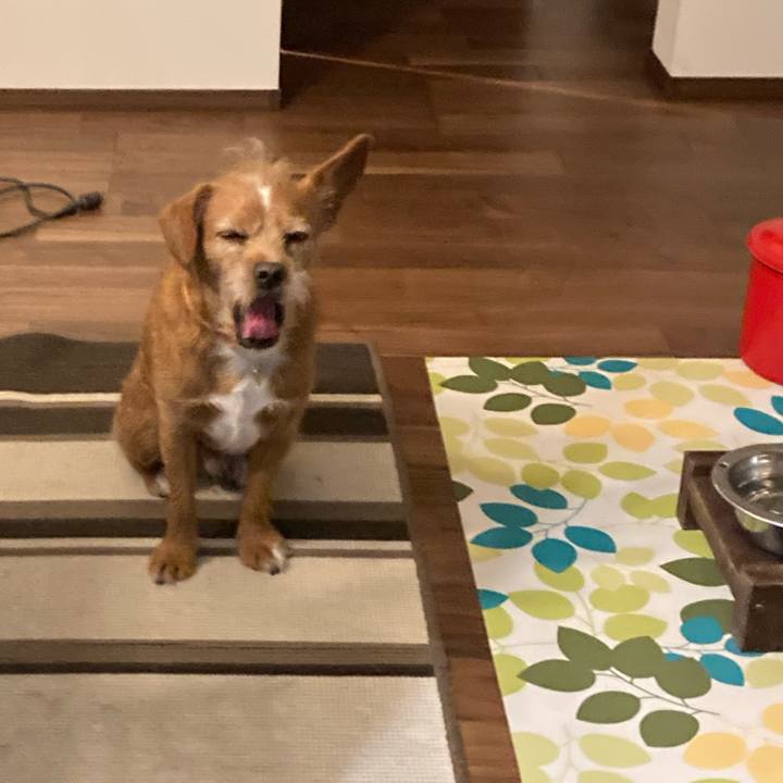 9b98df8a c445 48bf bea0 368b92071011 1617495830394