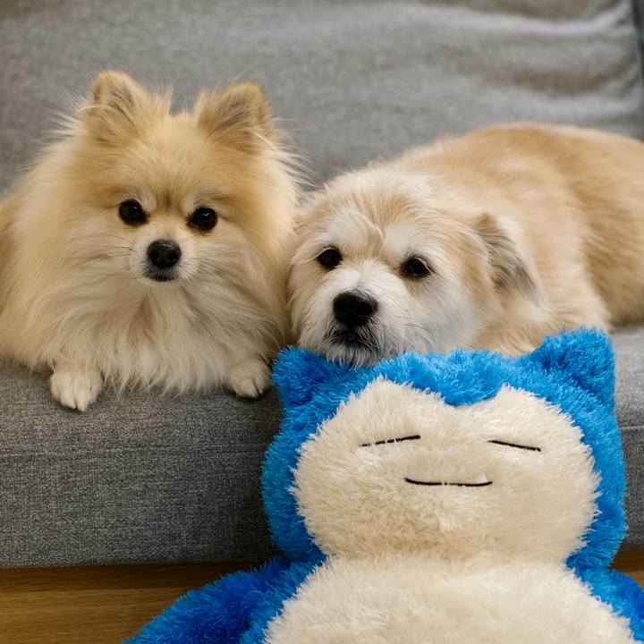 9b9910b2 e343 4ba5 8009 635d4a02ab70 1767564423896