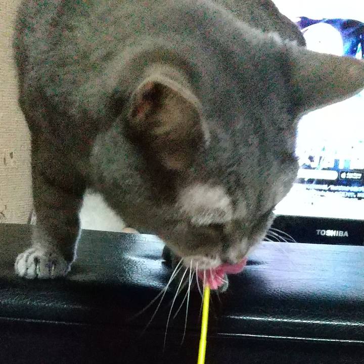 9b993a36 5c2e 436e 80c7 5c0d5ac16c1b 1666167087242