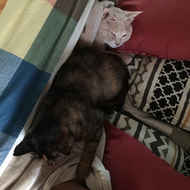 9b995570 15e1 4ebc 9854 f69e449ffe0a 1571354731726