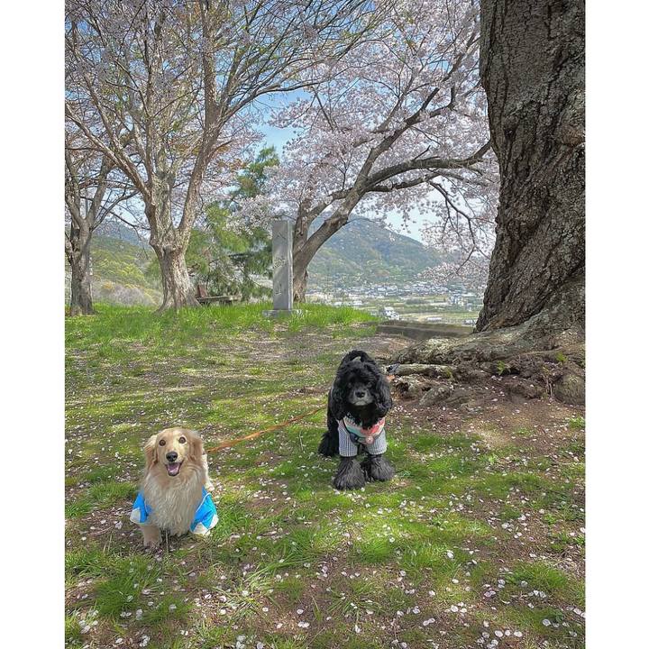 9b9962ed 15c8 4be3 b857 1b6a9e048a3b 1617340066269