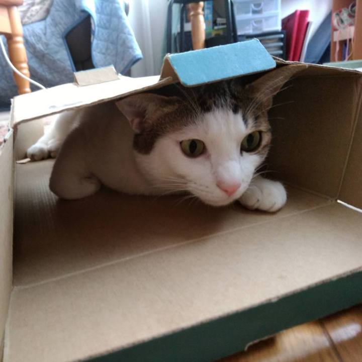 9b999271 af48 400b 89a6 dd2ba254f092 1677991605318