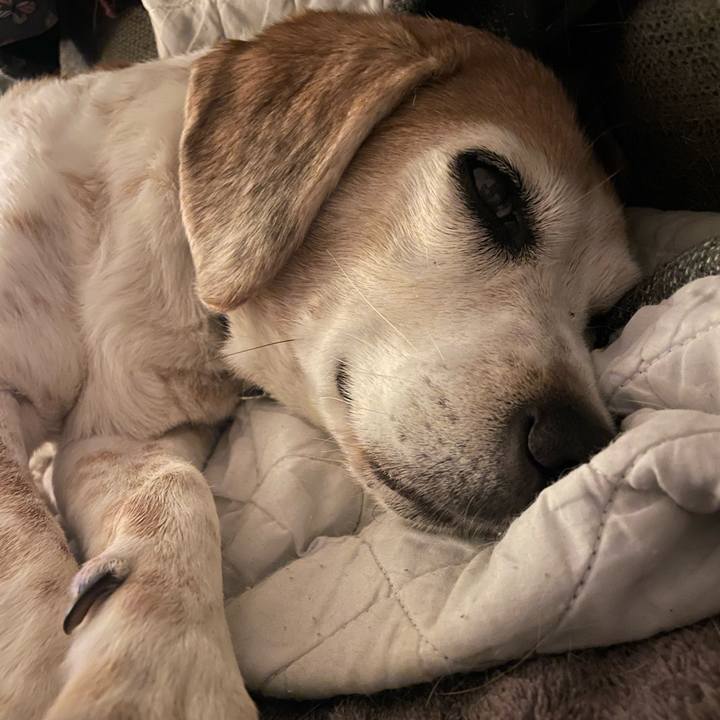 9b99a411 1f68 430e 9839 b80dbe29664b 1769061368816