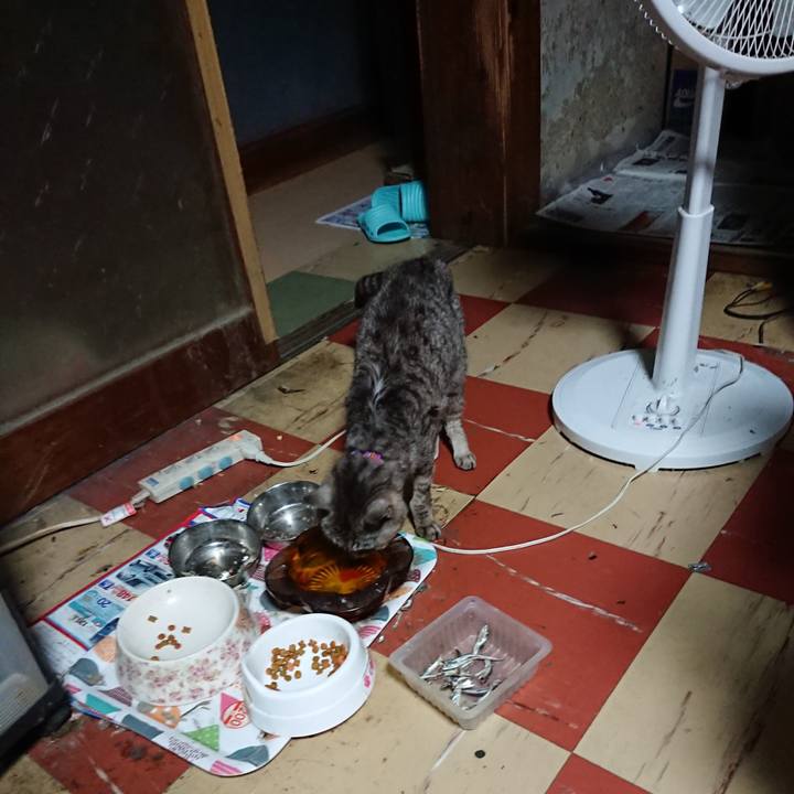 9b99bc71 7da3 4d60 a319 6bca8b170da1 1596657962745