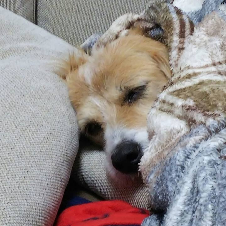 9b99c3f6 9332 4173 b51a 2c905388d1ff 1541849281977