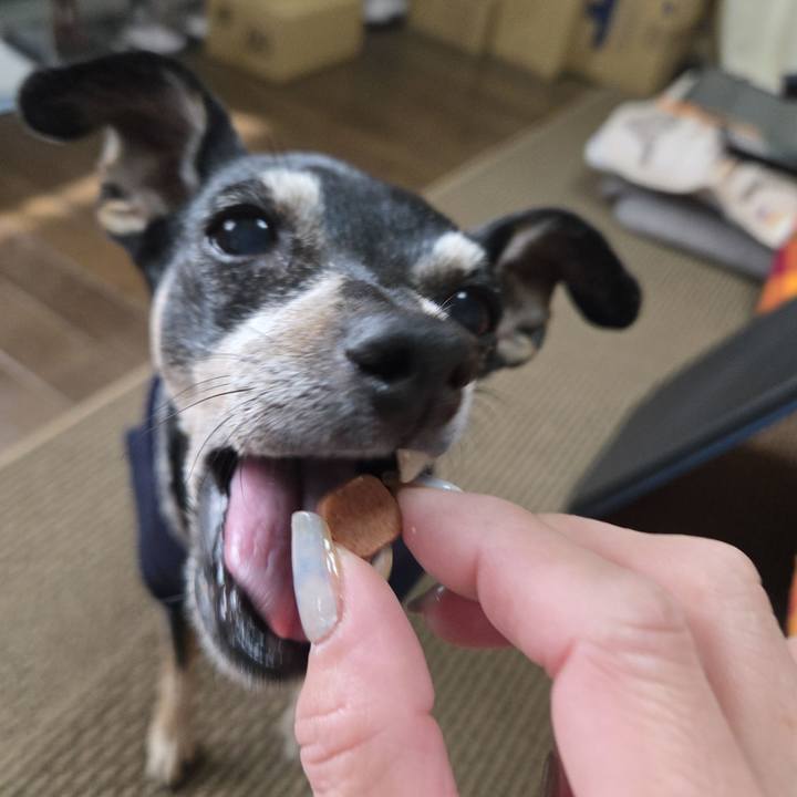 9b99e085 16eb 423f bb72 ab18e567d211 1772340338852