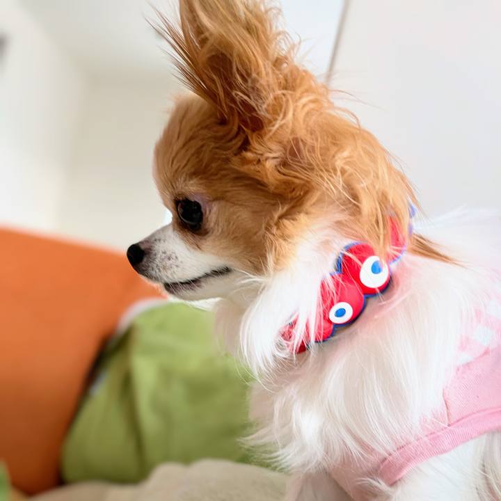 9b9a40d9 704e 4555 a5e1 390a87f76144 1762665963259