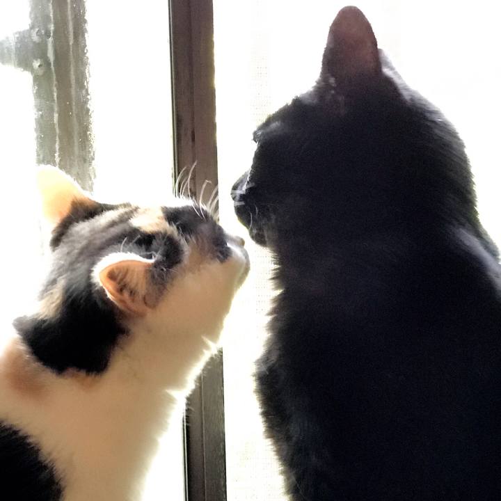 9b9a4a0e 2337 469f 8c58 5112facb8781 1531185787869