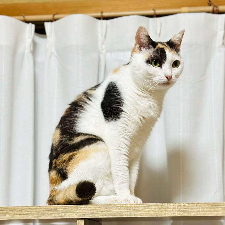 9b9a5123 fd5a 40f7 8969 abf3d97fa4f3 1693443439775