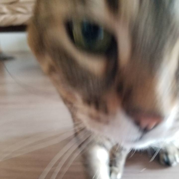 9b9a6356 8a4b 4a26 8012 95c3aedff77f 1616800168869