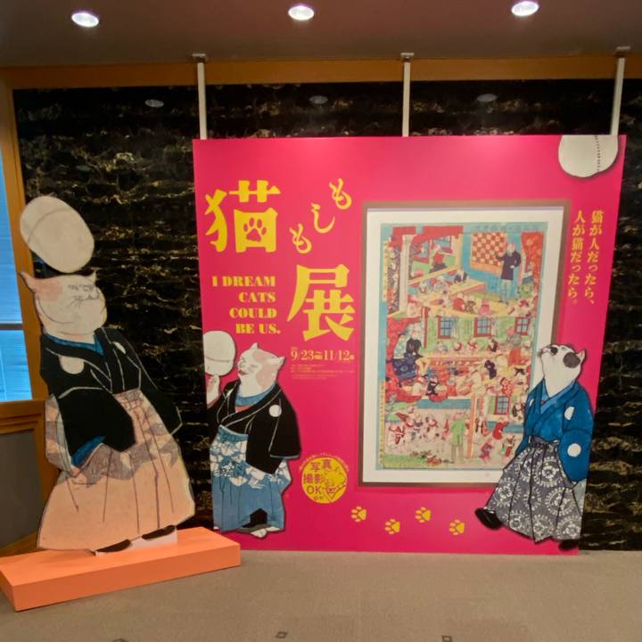 9b9a8482 29d2 4e92 b272 4f60f749c063 1695906686756