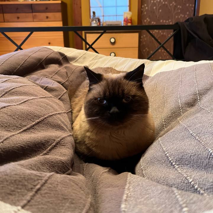 9b9a933f 82bf 4e7a 895d c875888be612 1697171640821