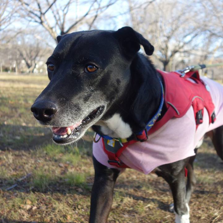 9b9a9bf4 8d9c 454b 8b7e a6f0eb65c19c 1675560165849