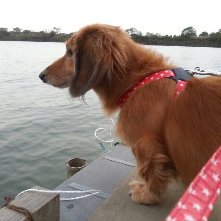 9b9b1931 36d2 40a2 bcbb 7ff67e8c675a 1542634916431