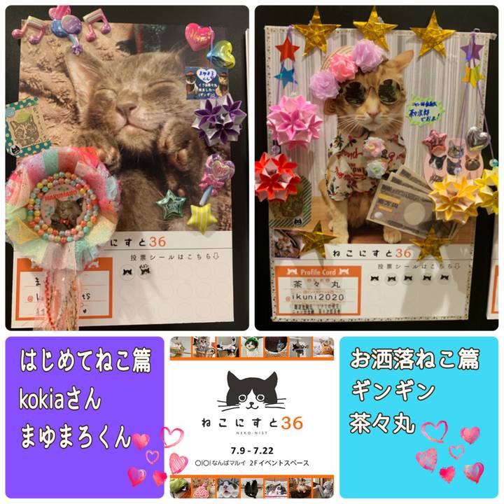 9b9b367d d554 4f2a 8173 f1bd7e9a2061 1625815271613