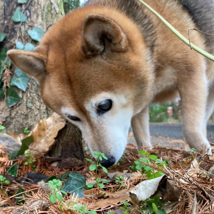 9b9b8dc7 98d7 4bb8 944f b97ceb54570b 1673753361496