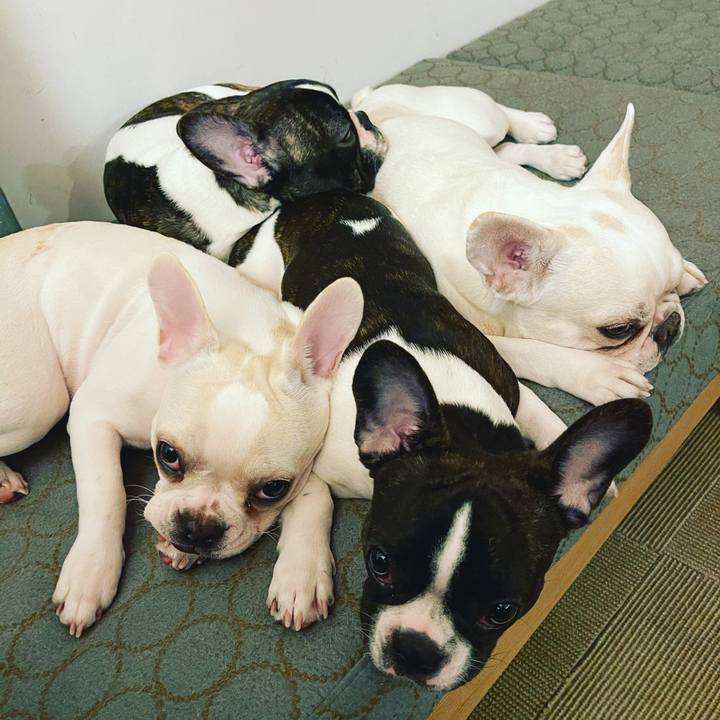 9b9b910b 5e26 430f 8383 697b2a998dfb 1608167774016