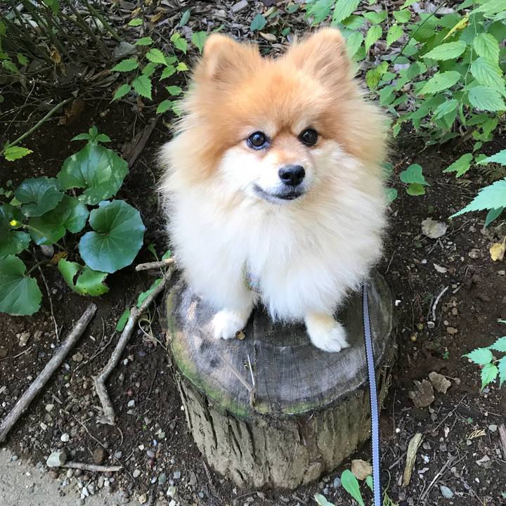 9b9bab8f 52e1 48d6 9a55 820a2fe3deb1 1541212107190