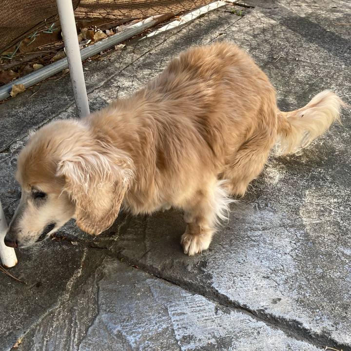 9b9bcd52 ff0b 484c a424 ac02a8db00bf 1649842526253