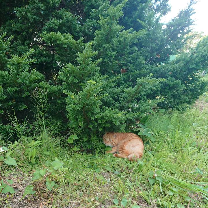 9b9bdaf8 cd79 4710 9a96 e62179b9f181 1657356298959