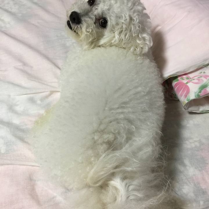 9b9becc3 a3eb 46bc a19e e6f044c2e215 1531737328718