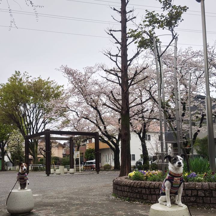 9b9c62bc 7948 4643 aa3a 942ac4dc17fc 1775345791882