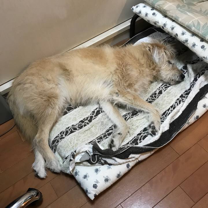 9b9c6a19 8bc1 4873 bd65 074d2d01dbda 1607132666593