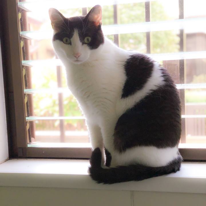 9b9cb60b f6be 45ff aa1f e8c49aecd704 1562808627140