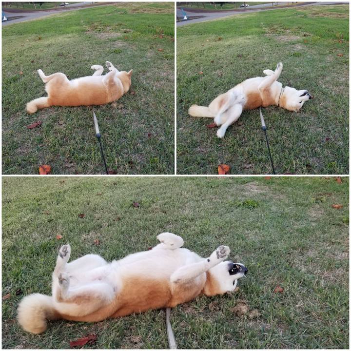 9b9cd3d8 c423 42e2 9265 c52b8a449dba 1698305295064