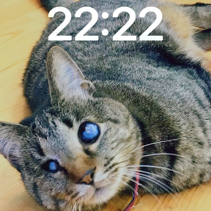 9b9d1e17 eab1 4aa7 b0ea b1390aac6a2d 1750944350270