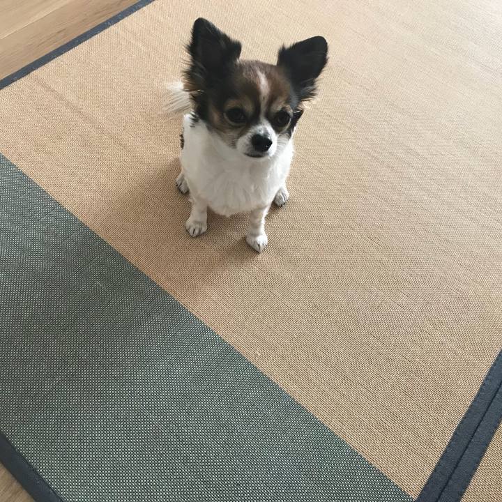 9b9d2c94 c66f 4a4e 981a 02ed77d96da8 1515498559253