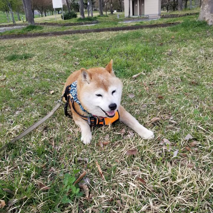 9b9d442c 1875 4544 849a cca1120b3651 1713858282421