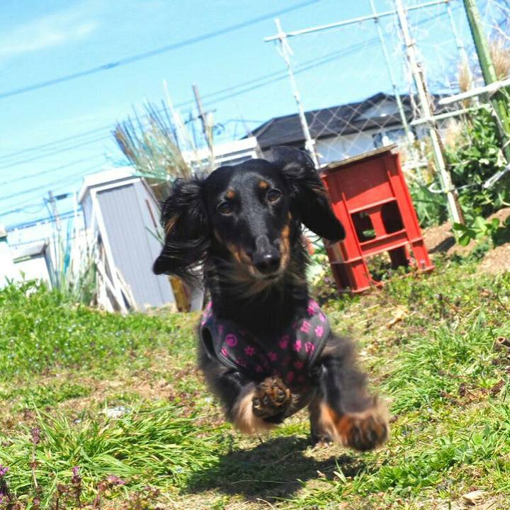 9b9d46ba 2061 4039 9db6 c5c0f233e1f6 1552889049070