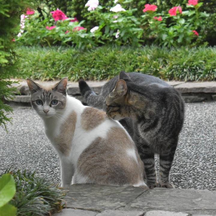 9b9d4a00 269a 45aa b269 6c803ab52987 1566091096519