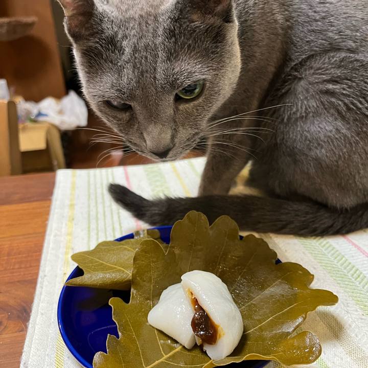 9b9d683b bb35 43a9 b6e6 aad0e859188b 1714562236433