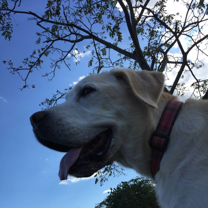 9b9d94fc 4ec7 4aa6 b2c3 d603620c29d0 1547299660246